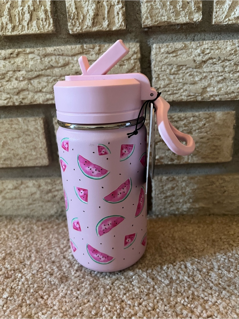 14 oz Hydrapeak Pink Watermelons on Pink Water Bottle